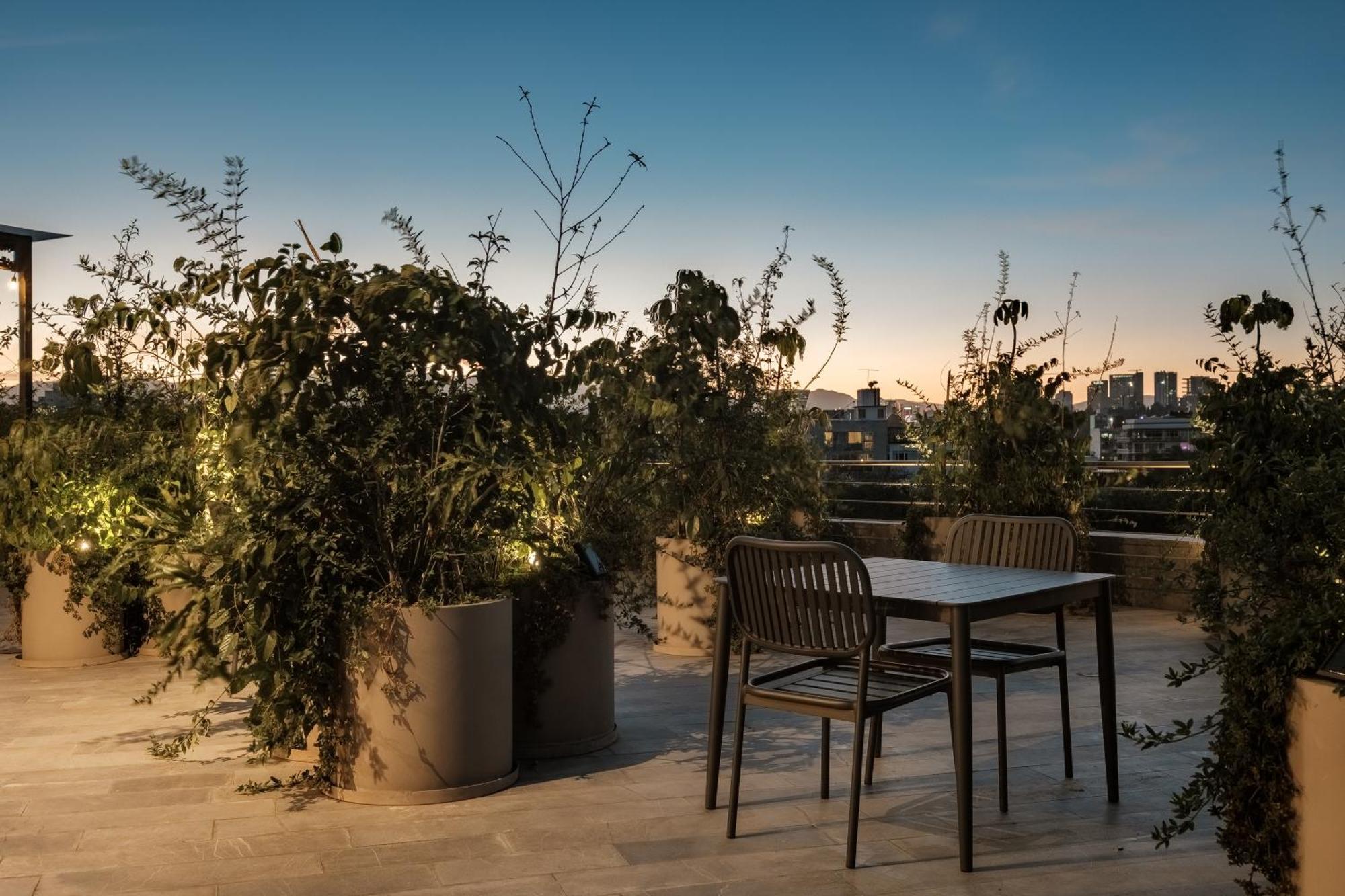 Nido Parque Mexico Lejlighedshotel Eksteriør billede